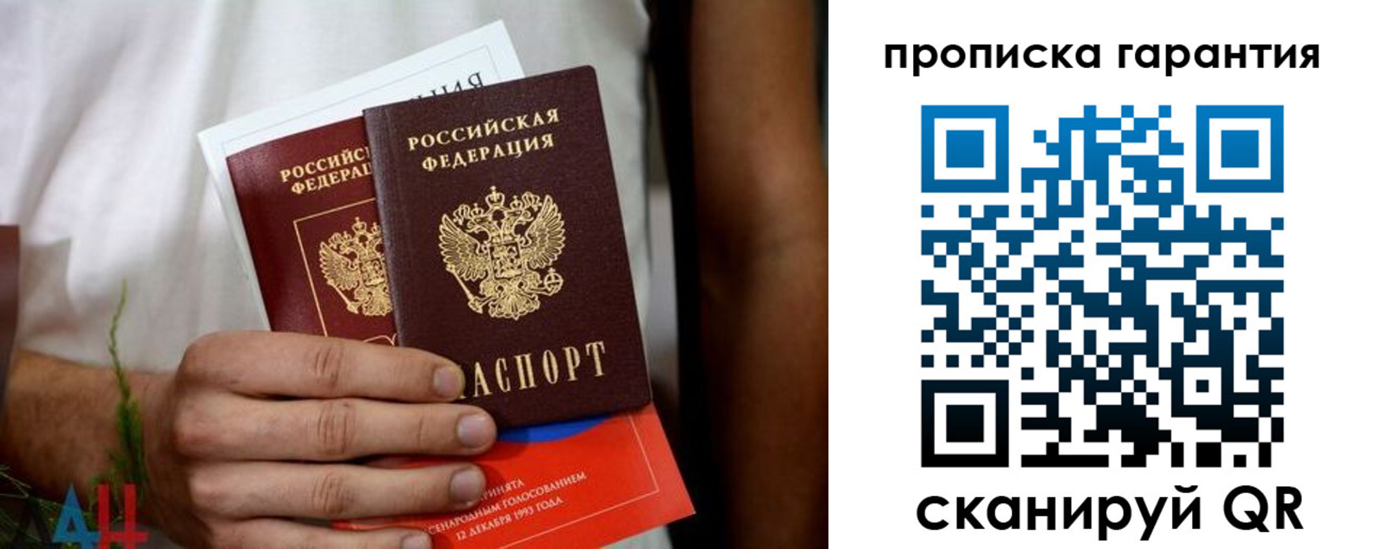 прописка в квартире в Кольчугино