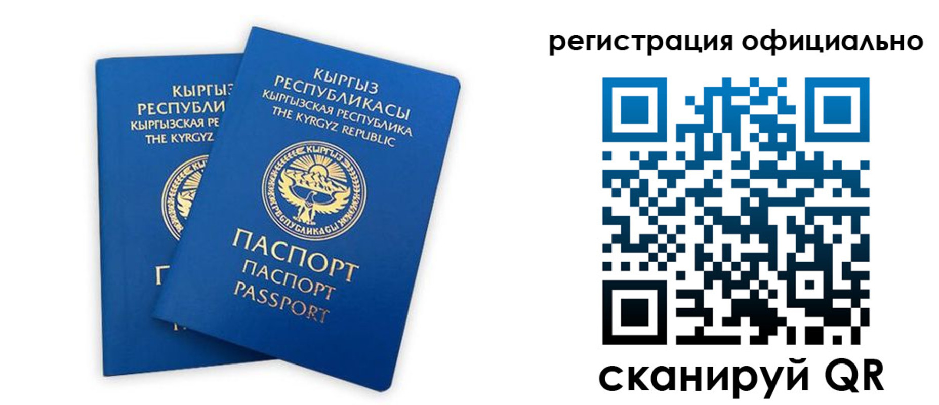 прописка поиск в Кольчугино