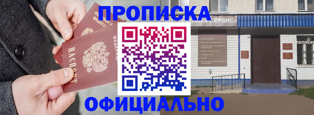 прописка в квартире в Кольчугино